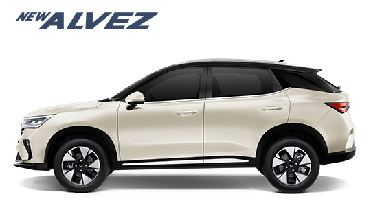 New Alvez